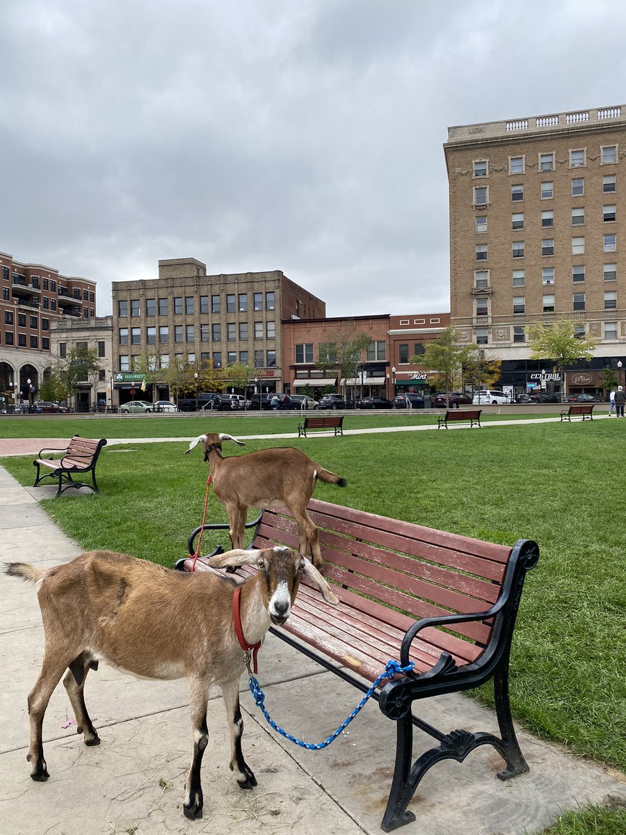 Wausau Events tweet media