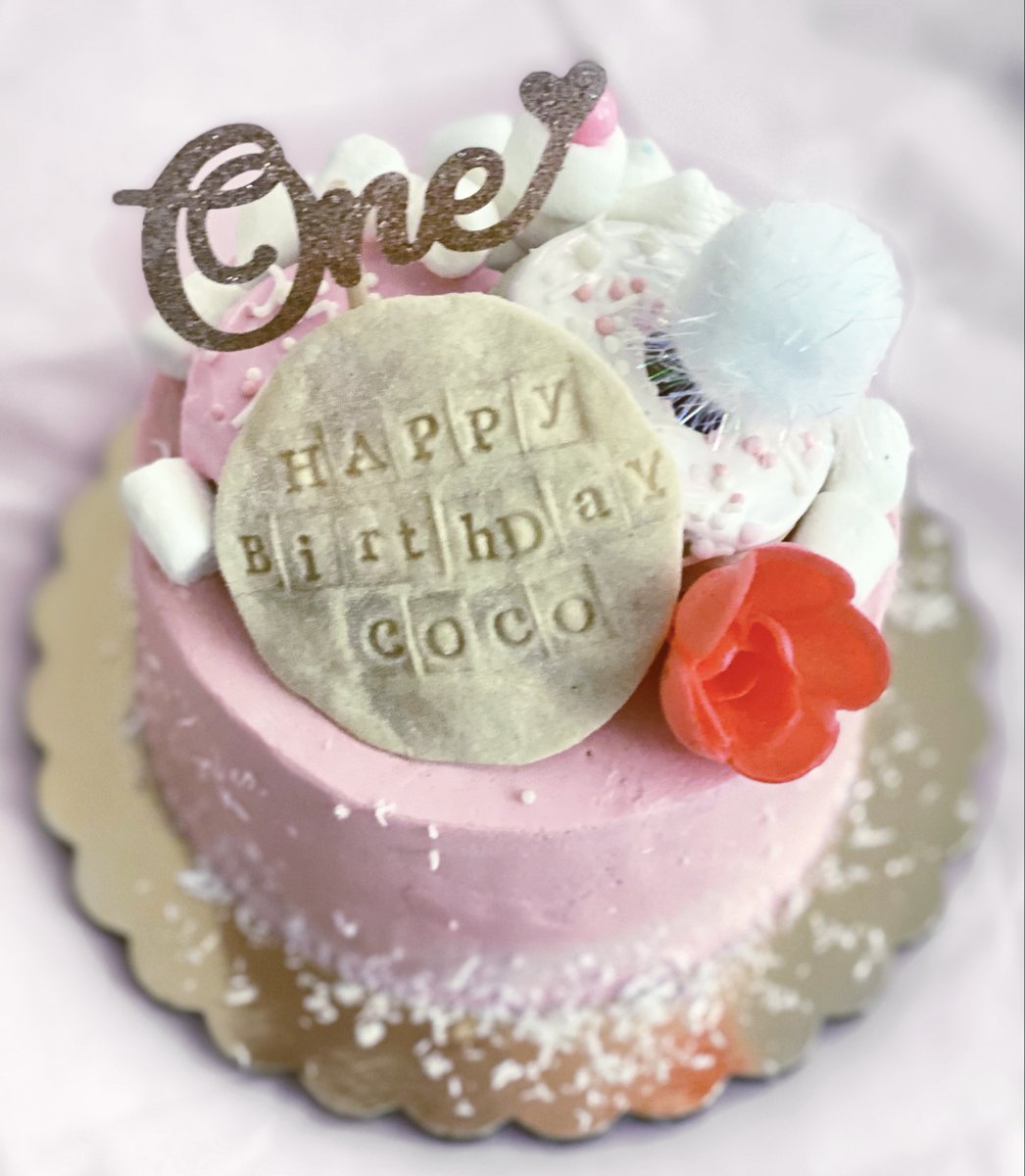 Did you guys know that our cakes last for another five days in the fridge? You can celebrate all week with your special friend 😍

#dogbakery #dogbirthday #doggifts #doglife #cake #dogcake #cakeinspo #ilovemydog #boston #dogsofboston #pompoms