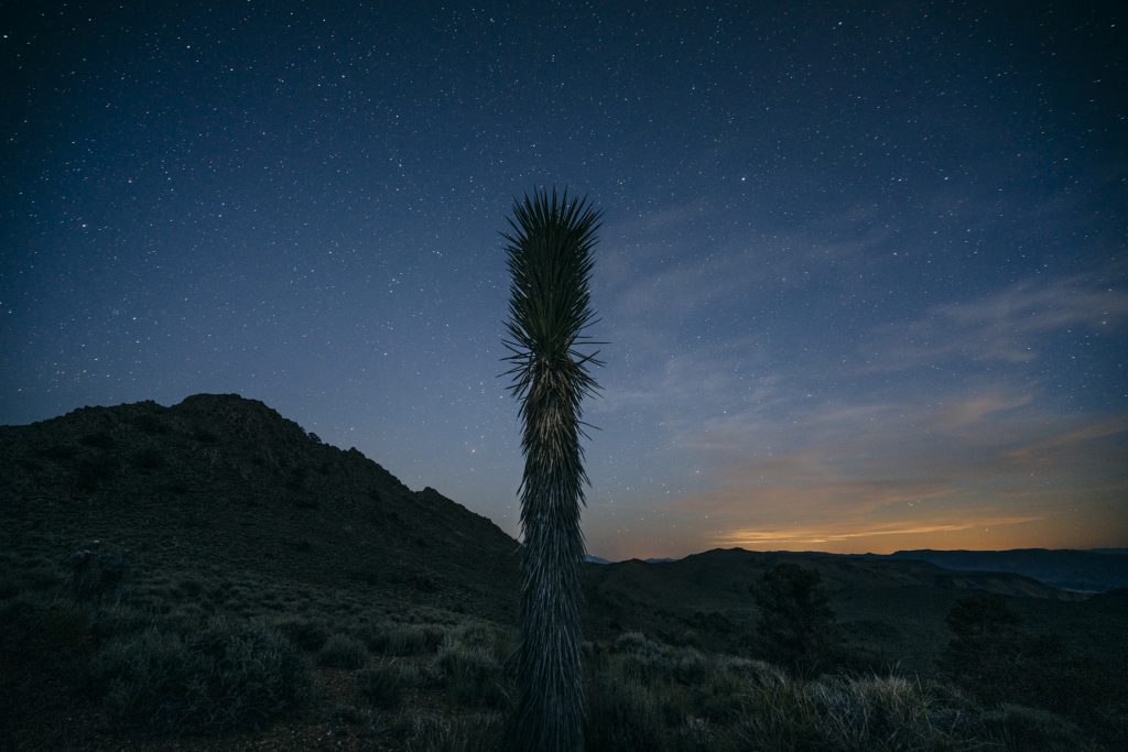 IS THIS UPCOMING THRILL IN THE STARS FOR YOU?
Only a dozen spots left for the Dark Desert Skies Campout Nov. 6 - 7 at #ConglomerateMesa with #FriendsoftheInyo. RSVP required. Attendee list cutoff will be 30 registrants. Use the following link to sign up: friendsoftheinyo.org/event/dark-des…