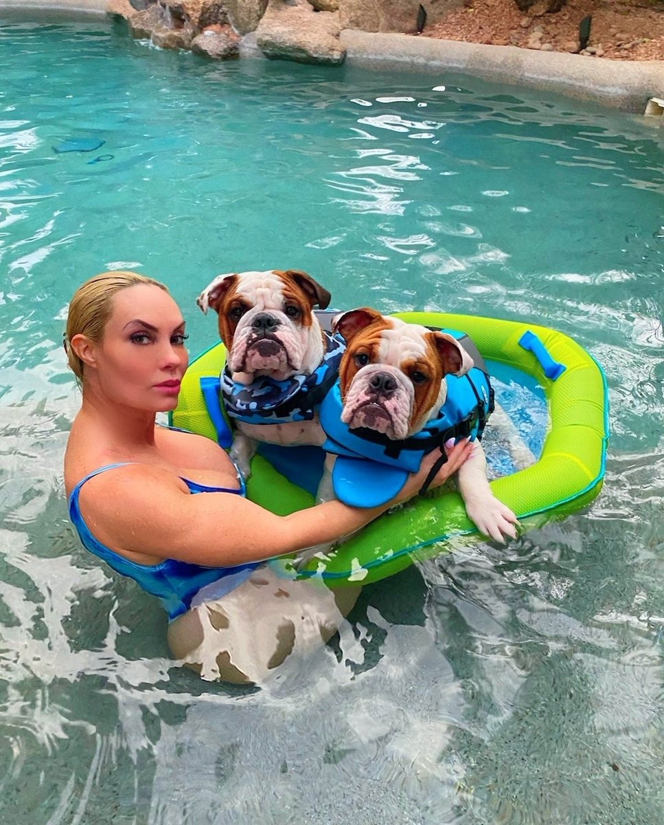 Back at our AZ home we had a blast in the pool.. #bulldogsofinstagram #bulldogpuppies #pooltime