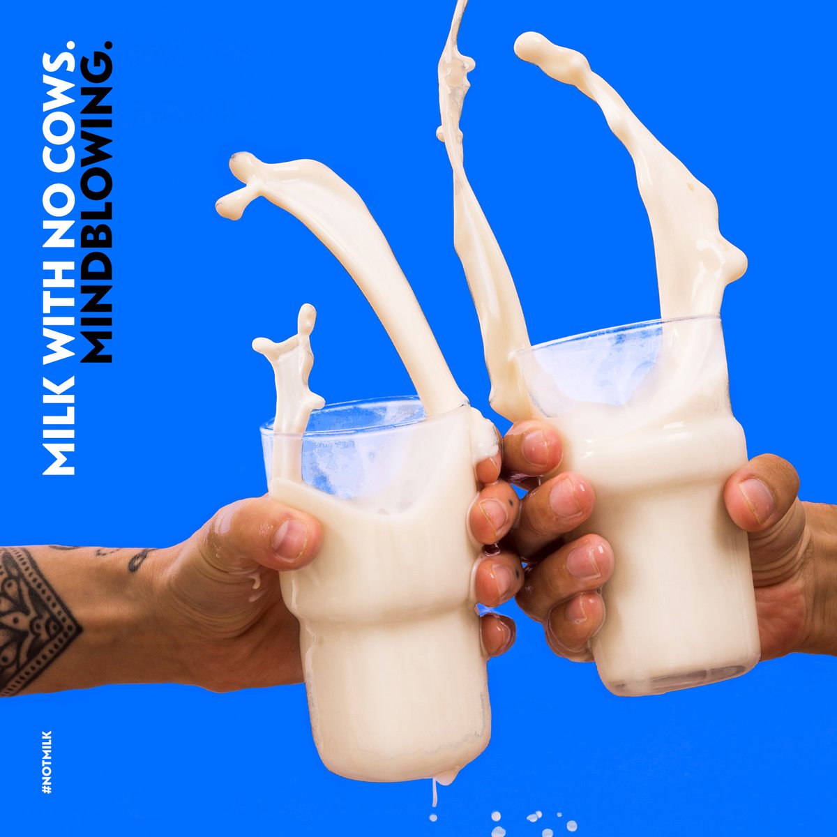Cheers to a world where you can enjoy the taste of milk without ever involving a 🐄. Enjoy NotMilk™ and never miss the tastes you grew up with! ✖️🥛
