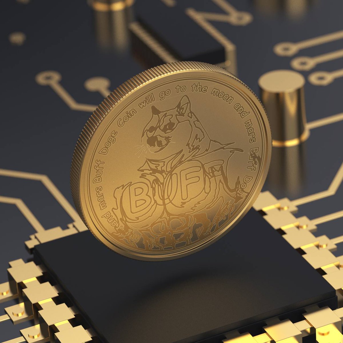 #Binance #Bsc #Buffdogecoin #Buffdogecoinarmy #Dogeprotector