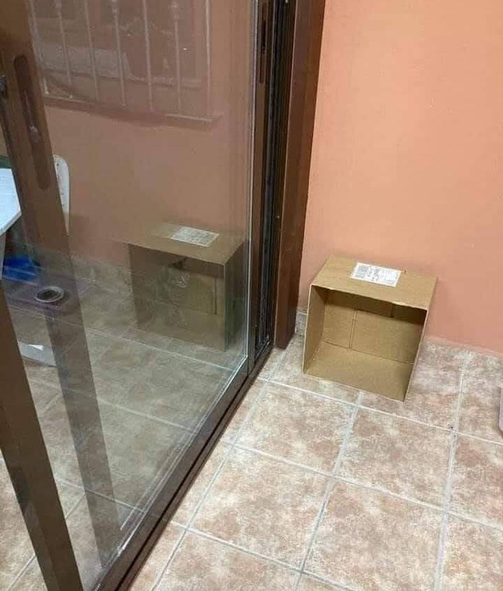 EnsedeCiencia's tweet photo. La paradoja del gato de Schrödinger, descripción gráfica. https://t.co/tw9LzloXCi
