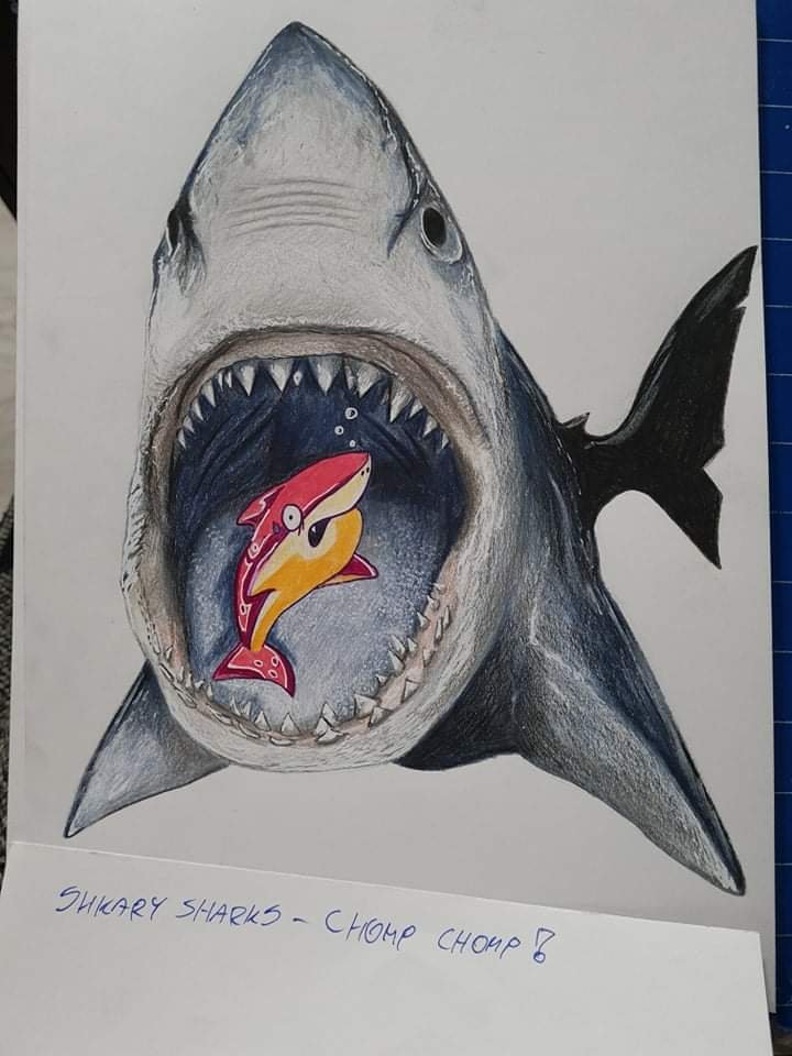 ShkarySharks's tweet photo. Just a few beauties from the Discord family 🥳  More tomorrow! https://t.co/QFS8JvN2TZ