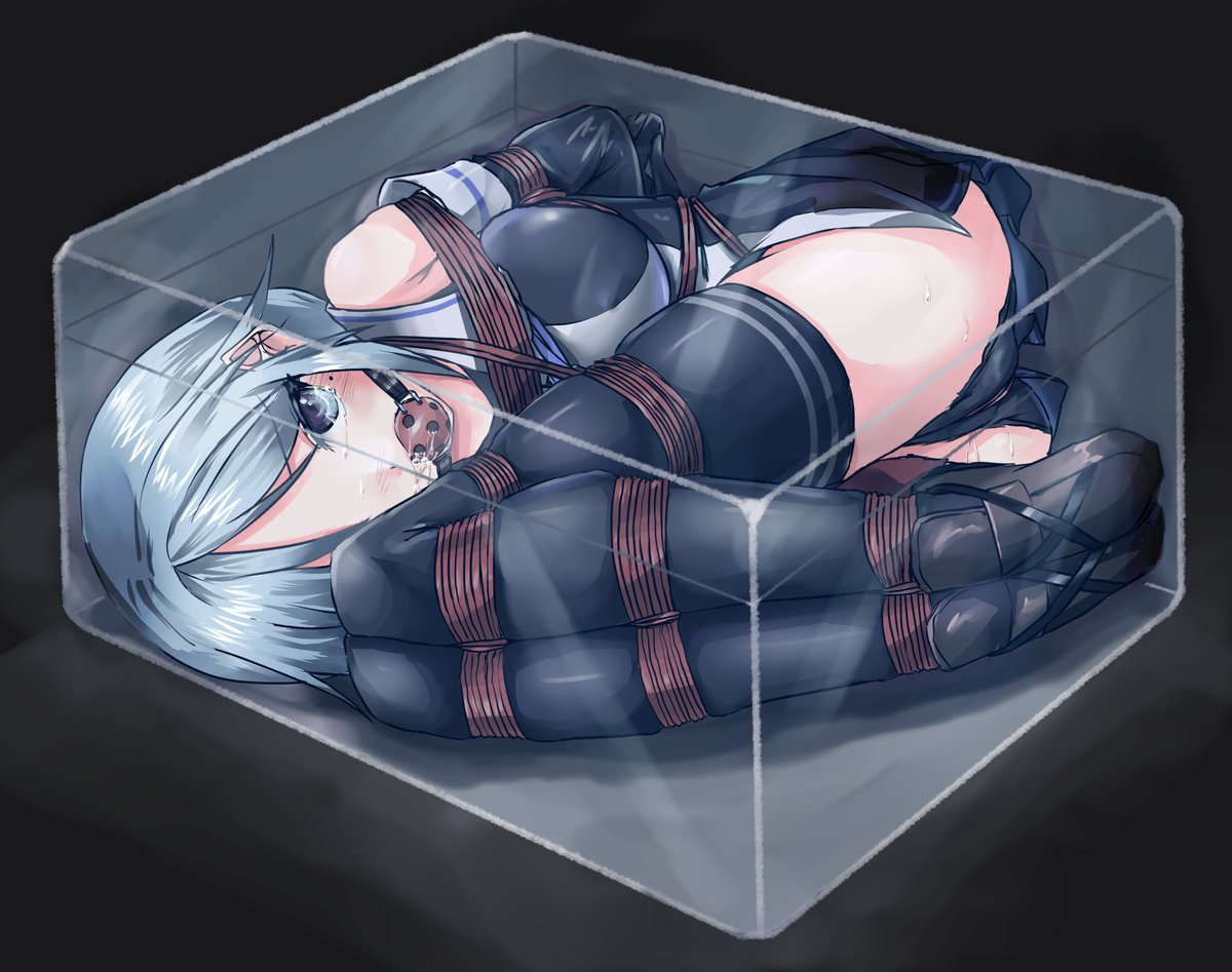 お題箱より「緊縛されて透明な箱の中に詰め込まれてる海風チャン」 #odaibako_kotogi2355 https://t.co/xesVAKdGhO 

(*'д`) 