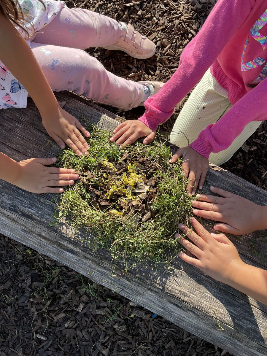 Our Grade 2 students exploring the outdoors and getting creative. #ecoschools