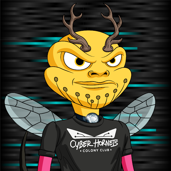 BenBath5's tweet photo. @BrianGarrett Definitely @TheCyberHornets  Best community with awesome artwork and alot of upside. https://t.co/xfGPVklFnJ