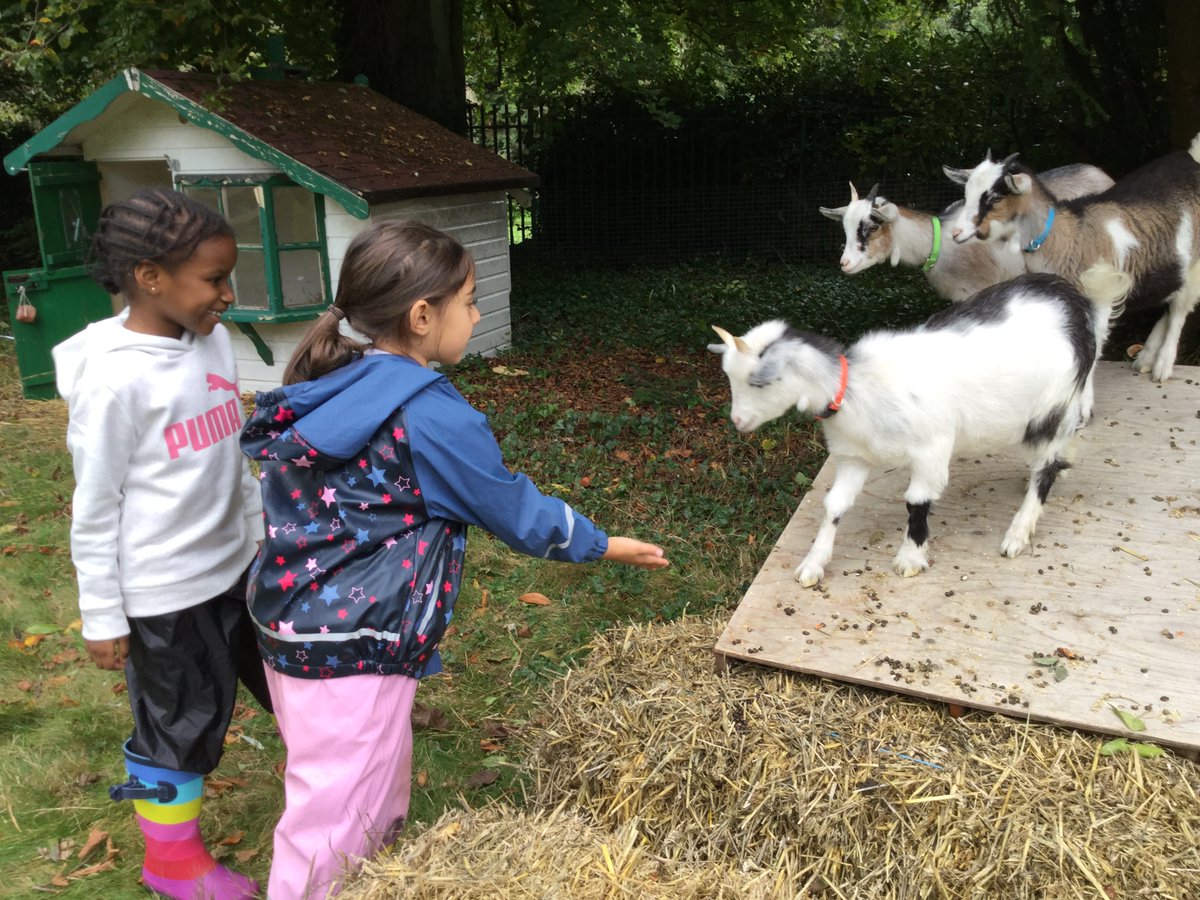 StChrisJunior's tweet photo. During Forest School today Year 1 and Year 2 went down to see the new members of the St Chris Community! Meet Santa, Caesar and Trembler! #jgroup #hgroup #mystchris https://t.co/pe3BdIdMYo