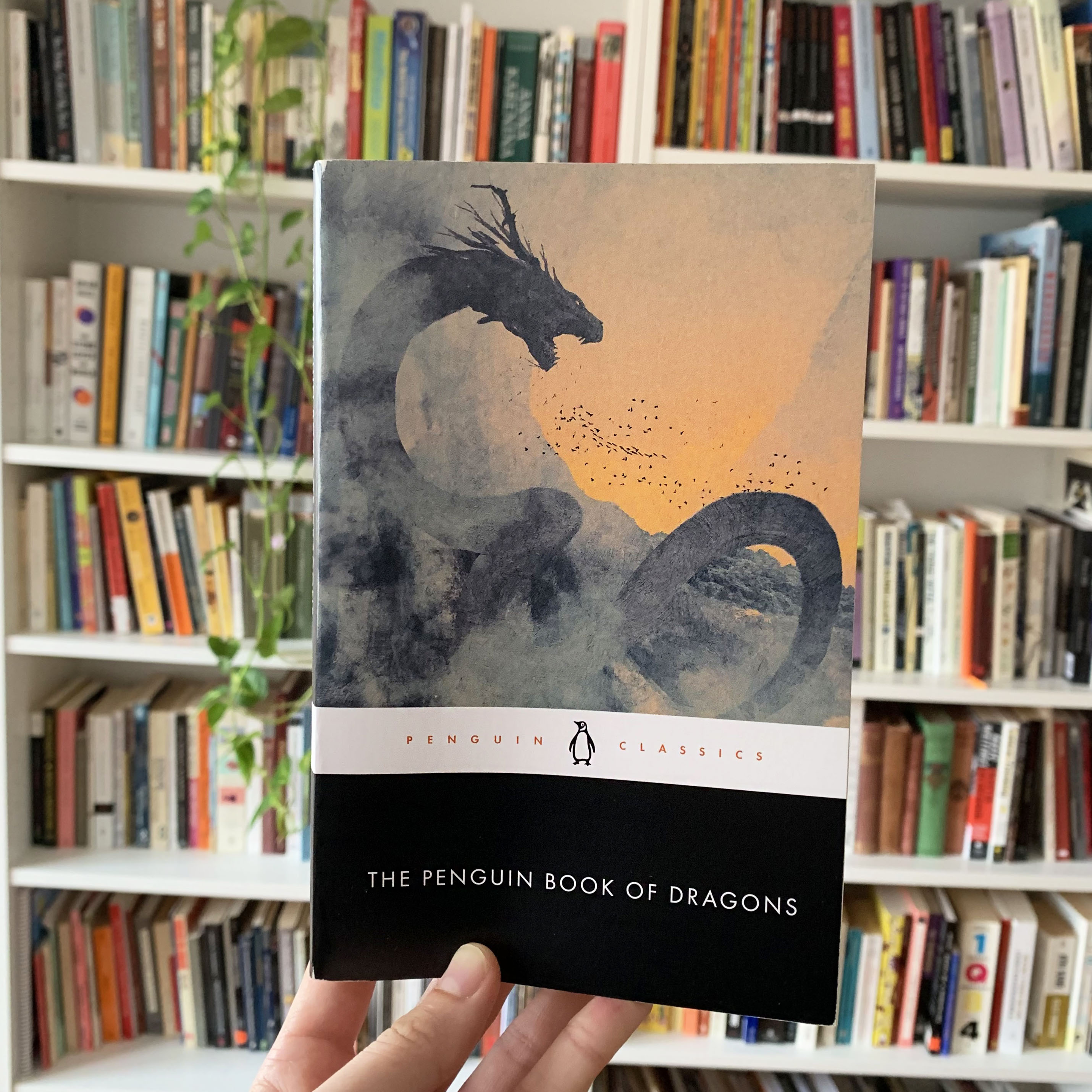 The Penguin Book of Dragons: 9780143135043