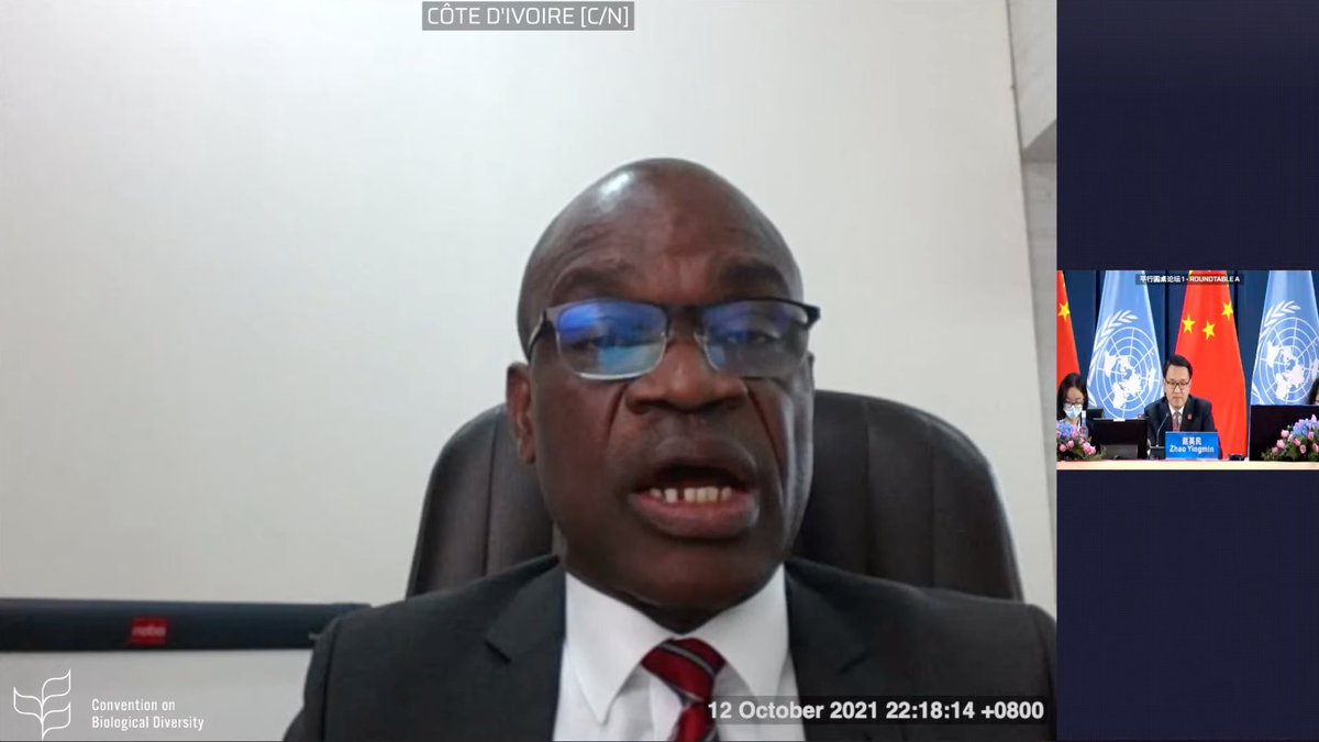 UN Biodiversity tweet media