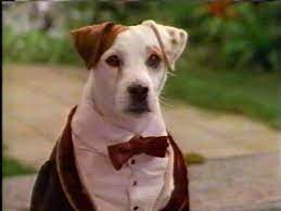 wishbone with bow tie