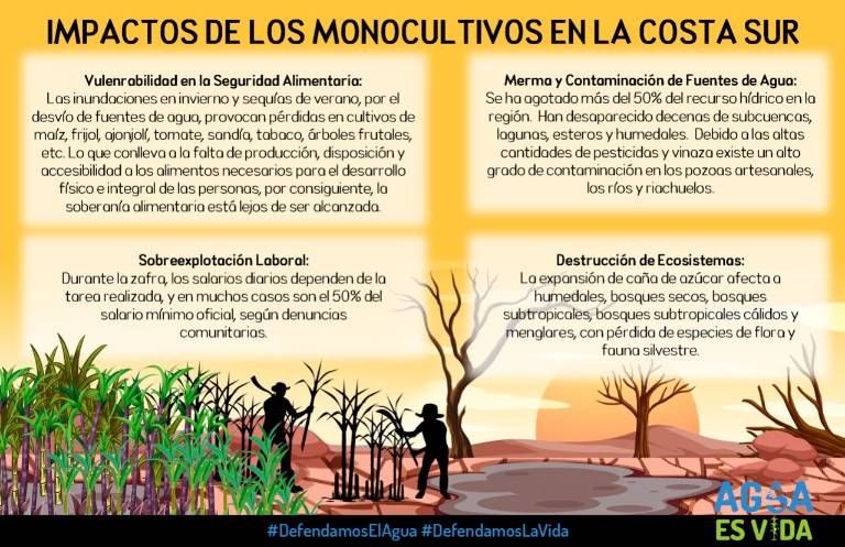 REDSAG_'s tweet photo. 📢 La agroindustria de palma aceitera, caña de azúcar y banano impacta negativamente en la vida de las comunidades aledañas a sus plantaciones en la Costa Sur. ¡Aquí te contamos por qué! 👇🏾

#DefendamosElAgua #DefendamosLaVida #AguaEsVida https://t.co/XPMwdjoel1