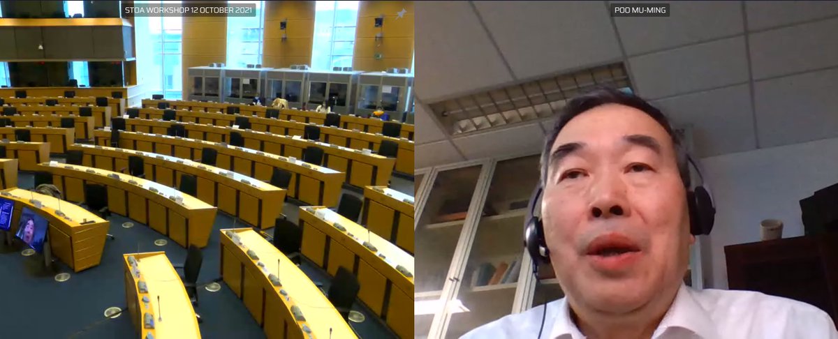 EP_ScienceTech's tweet photo. Leading #brain experts from 🇯🇵Japan 🇨🇳China & 🇺🇸USA talk about better cooperation in #neuroscience at #BrainSTOA #EuropeanBrainSummit, moderated by President of @EU_Brain @MonicadilucaL
Some challenges: implementing new #tech, #privacy of data...
https://t.co/4SL9FpDaJS https://t.co/o1rXRZ0Ng7