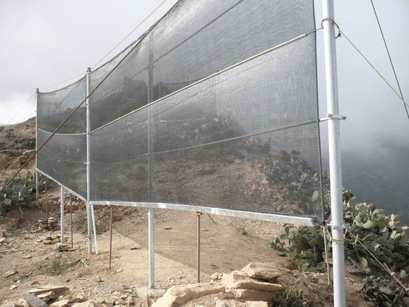 SergioMartinGu3's tweet photo. El #cloudfisher es un nuevo desarrollo que usa el vapor de agua atmosférico como una nueva fuente de agua bebible, soporta vientos hasta de 120 kilómetros por hora, la red de niebla es capaz de cosechar las gotas de agua que hay en el aire, un desarrollo de @wasserstiftung https://t.co/gTTZJNJ2o7