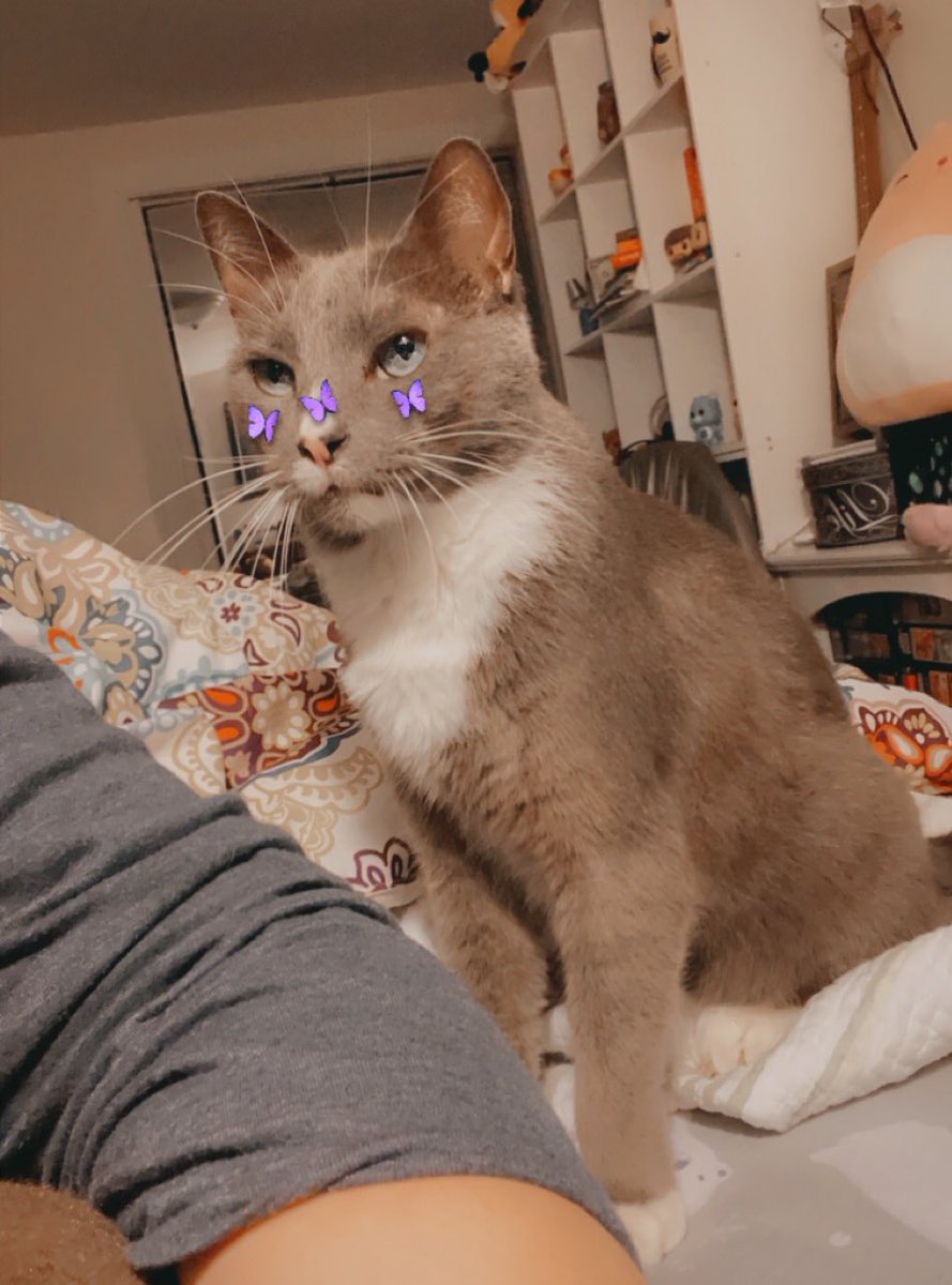 I am so beautiful with my butterflies on.