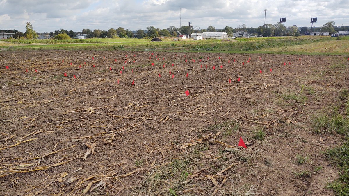 We're prepped for #iPrep pennycress planting! With <a href="/RCombsGiroir/">Rachel Combs-Giroir</a>
