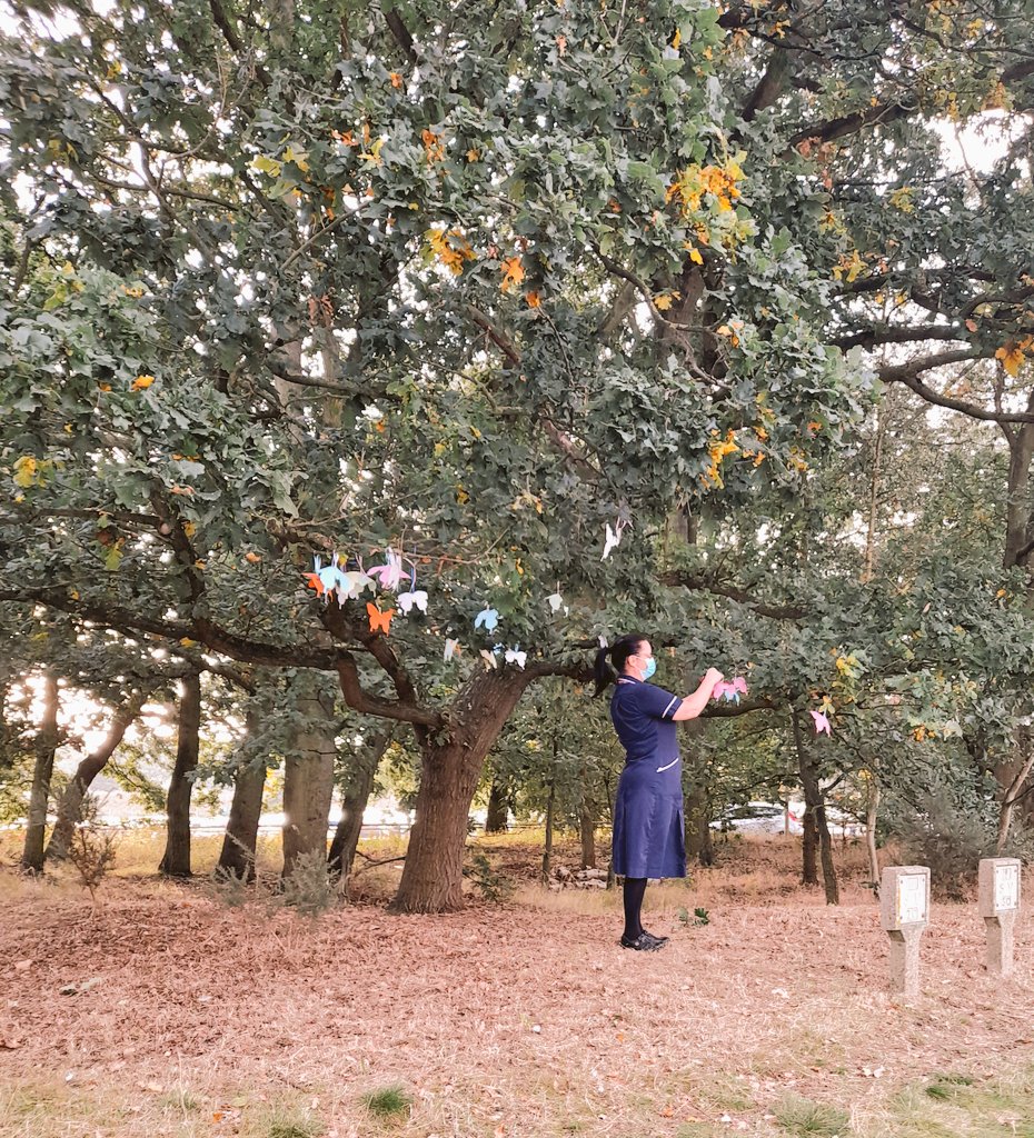 Team QEH Professional Midwifery Advocates tweet media