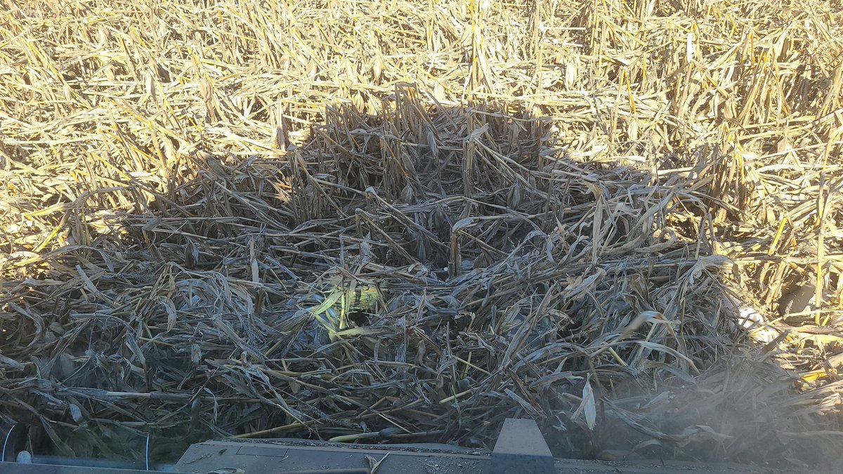 SIGMPX9MM's tweet photo. Wonder how on point other brand's social media moderators are ๐ค I'd test it if my other Tweet hadn't already circulated the world. #flatcorn #Harvest2021 #oops https://t.co/36t6YSNCcf