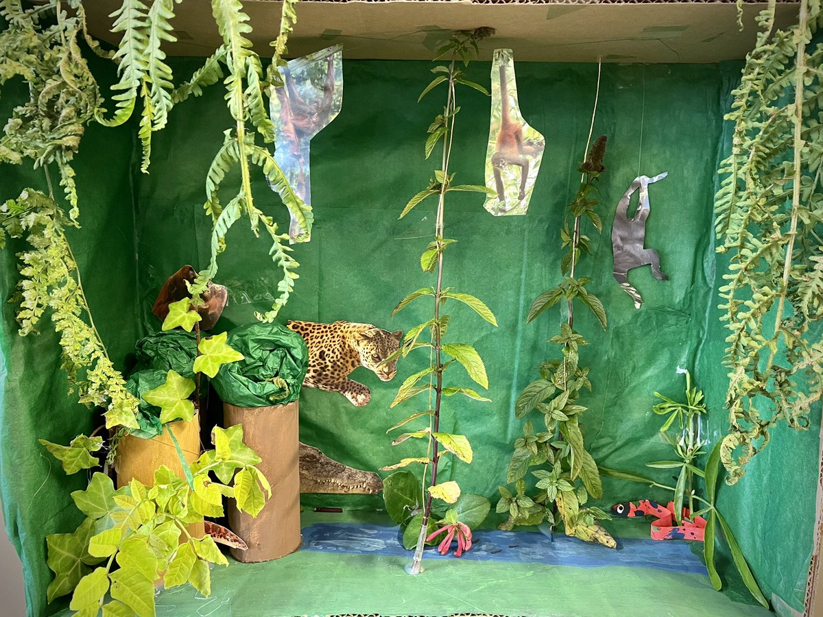 bhs_biodept's tweet photo. We are so impressed with the talent of our @ballyclarehigh junior pupils who entered the #bioartattack competition. Winners will be announced later in the week! @RoyalSocBio #biologyweek https://t.co/RaAKU3JHql