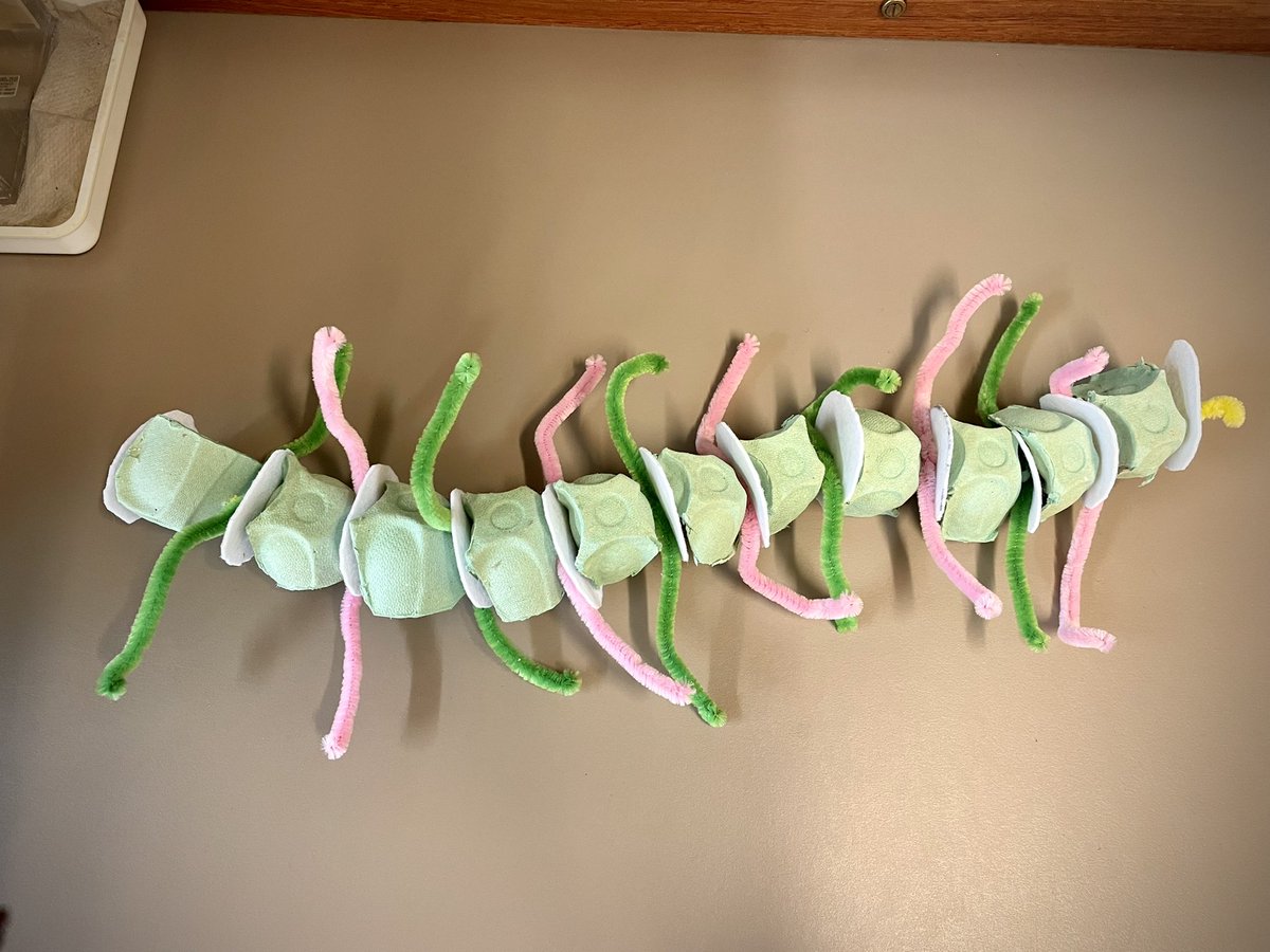 bhs_biodept's tweet photo. We are so impressed with the talent of our @ballyclarehigh junior pupils who entered the #bioartattack competition. Winners will be announced later in the week! @RoyalSocBio #biologyweek https://t.co/RaAKU3JHql