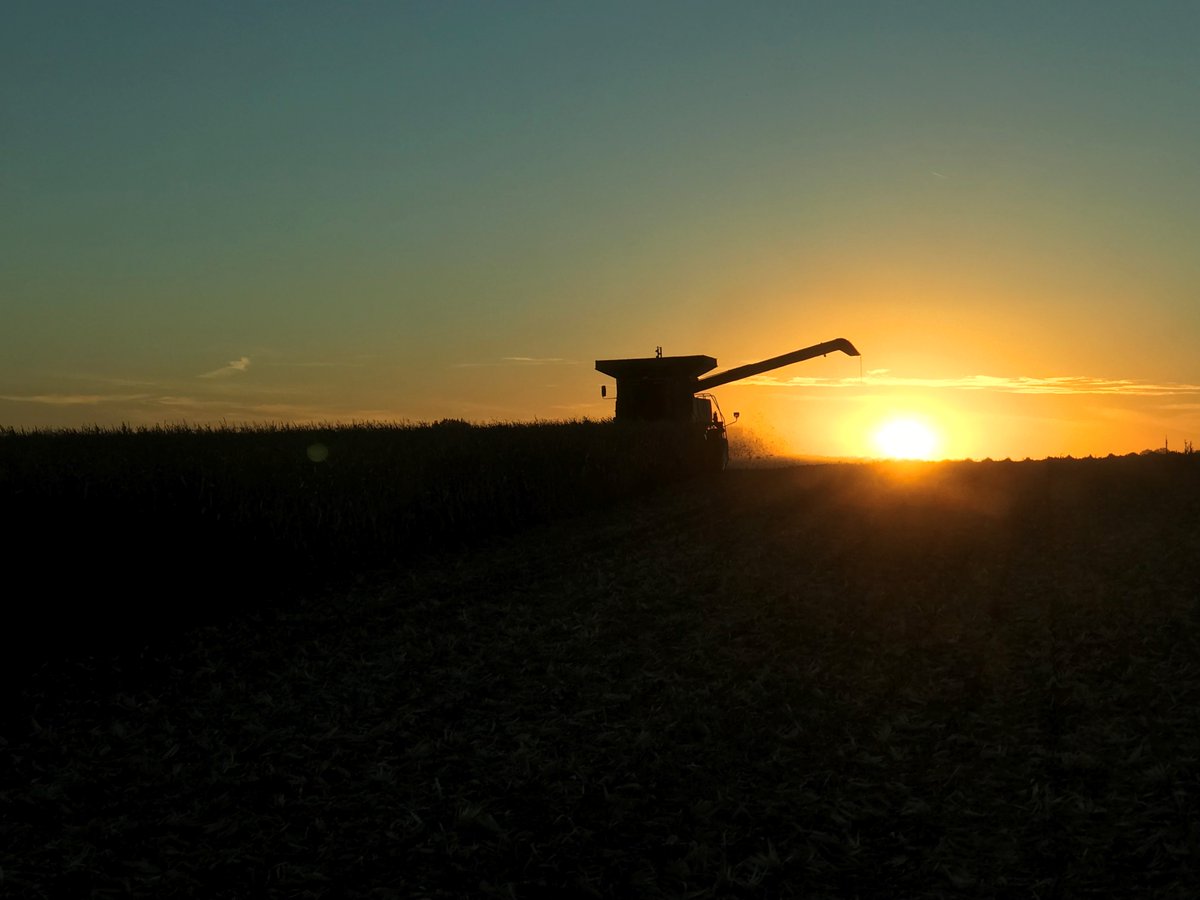 MNagriculture's tweet photo. Thank you to all those who farm the land, care for the environment, grow the crops, fruits and vegetables, and tend to the animals today, on #NationalFarmersDay, and every day!   #MNAg https://t.co/ClDeLGcZYt
