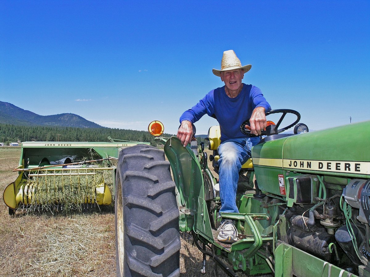 OpenLandMT tweet media