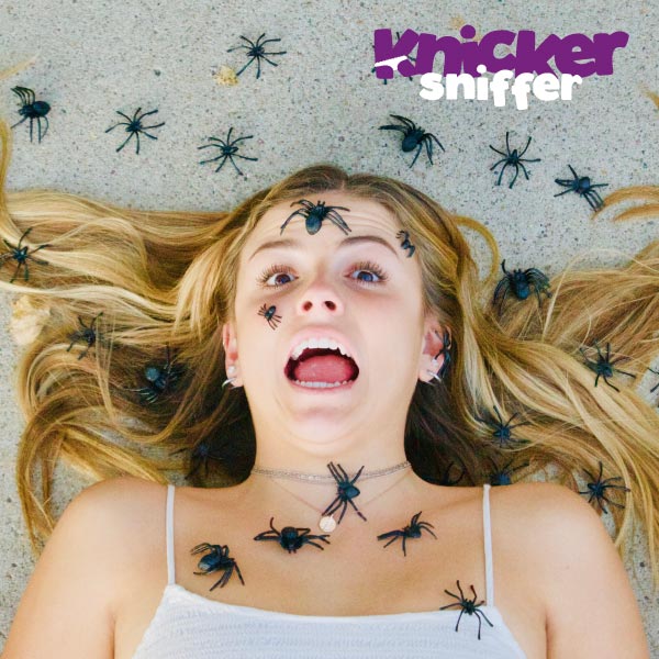 knickers_sniff's tweet photo. Looking to prank someone this Halloween season? Send some knickers and chose our super scary spider upgrade! #halloween #pranks #scare #funny #spiderman #scary https://t.co/fL3GW9gynJ