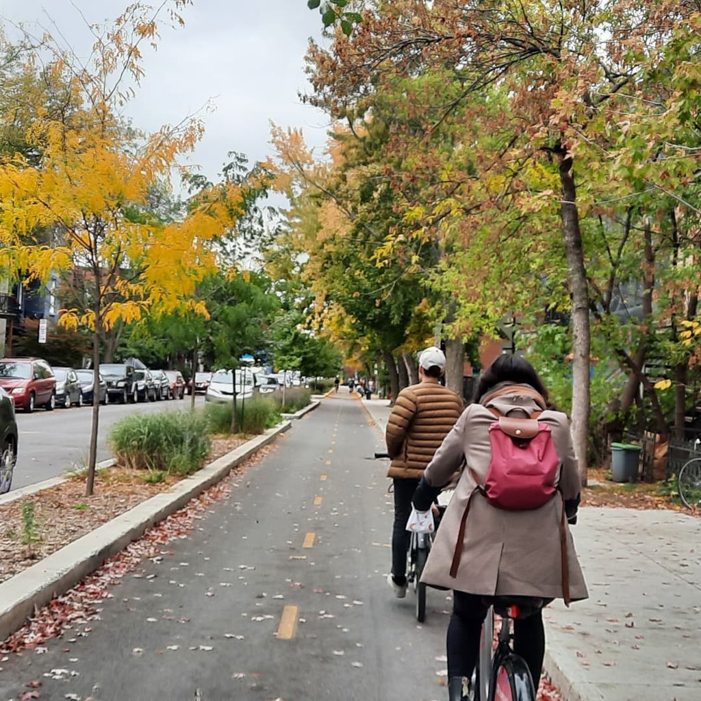 Fall on some of North America's best bike infrastructure. 🍂🍁🚲

📍Montreal 🇨🇦
📷 @slowstreets