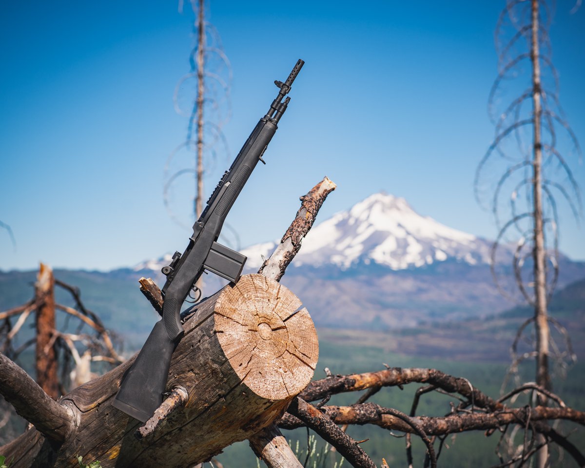 Springfield Armory® tweet media