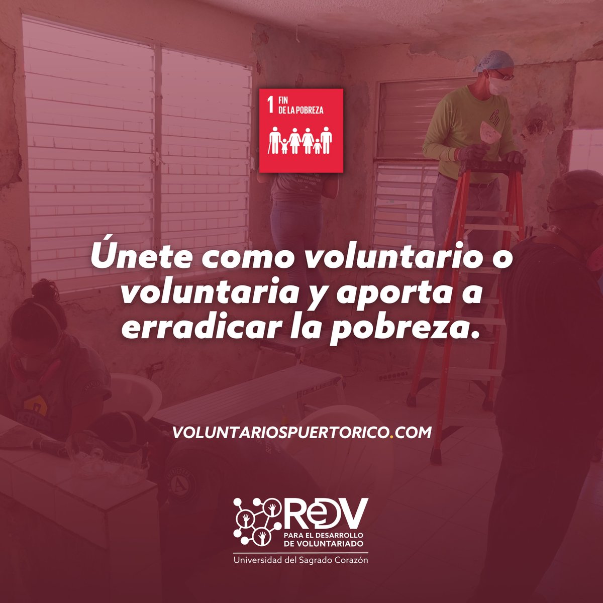 🤝 | Únete como voluntaria o voluntario y ayúdanos a ponerle fin a la pobreza.

Mira las oportunidades de voluntariado aquí: linktr.ee/redvusc

#ReDV #Companies4SDGs