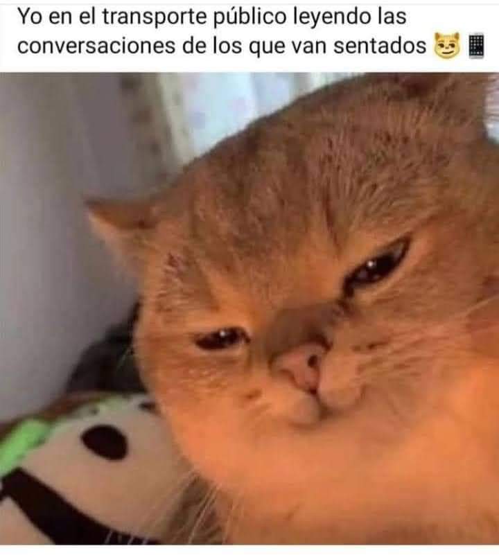 memestikee's tweet photo. https://t.co/NgQvX89Qiq