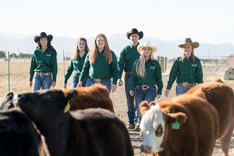 ColoradoStateU's tweet image. October 12th is #NationalFarmersDay 🌾
Here's to our agricultural roots here at #ColoradoState 🚜