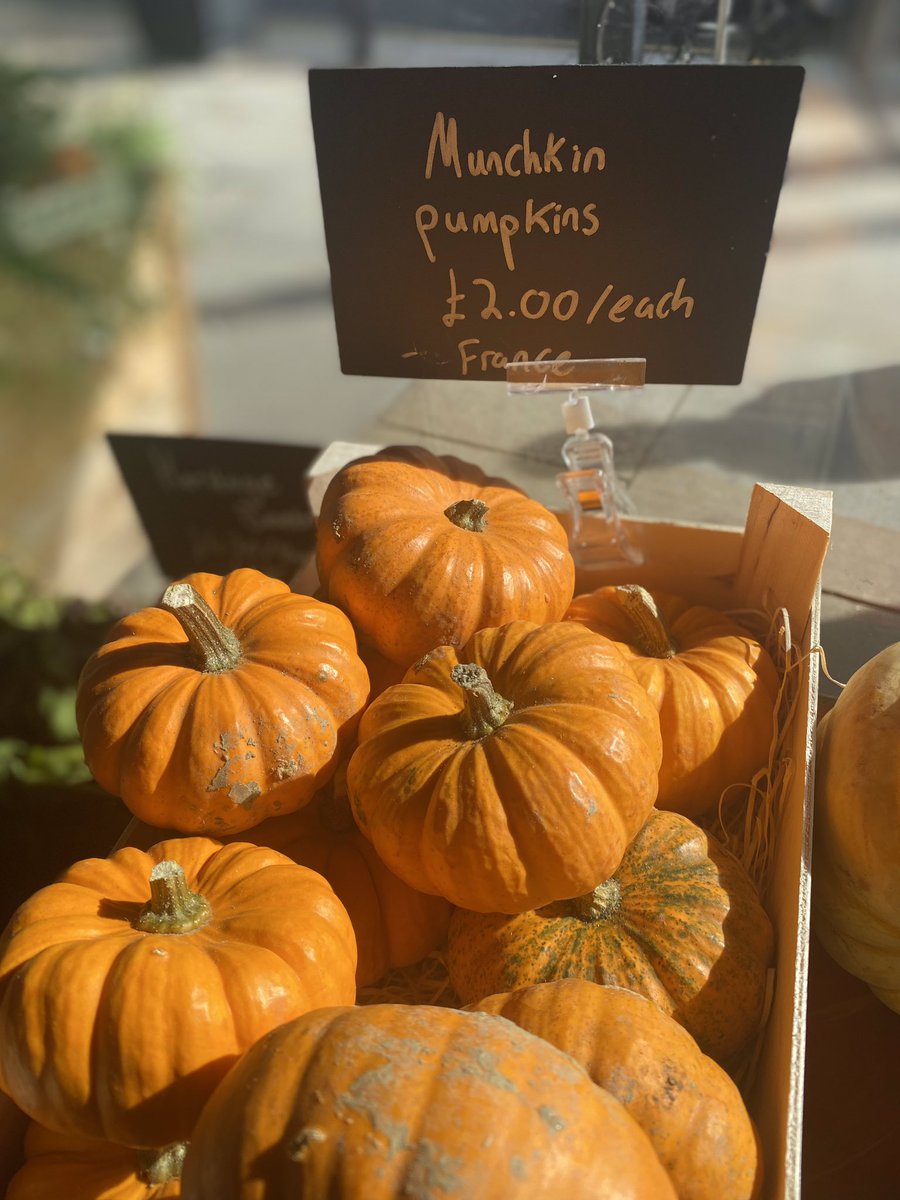 HALLOWEEN IS COMING 🕸🎃 
 
Our stores have a variety of pumpkins for your spooky decorations. We can’t wait to see 👻