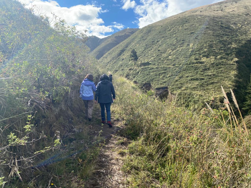 FAOEcuador's tweet photo. Cuidar el agua 💧 y fortalecer las actividades productivas 🧑‍🌾son las acciones prioritarias para los pobladores de las parroquias Toacaso y La Victoria en Cotopaxi. Conoce un poco más de ellos👉https://t.co/rpVuzUCoMd #PaisajesAndinosEc https://t.co/atCX6zaupF