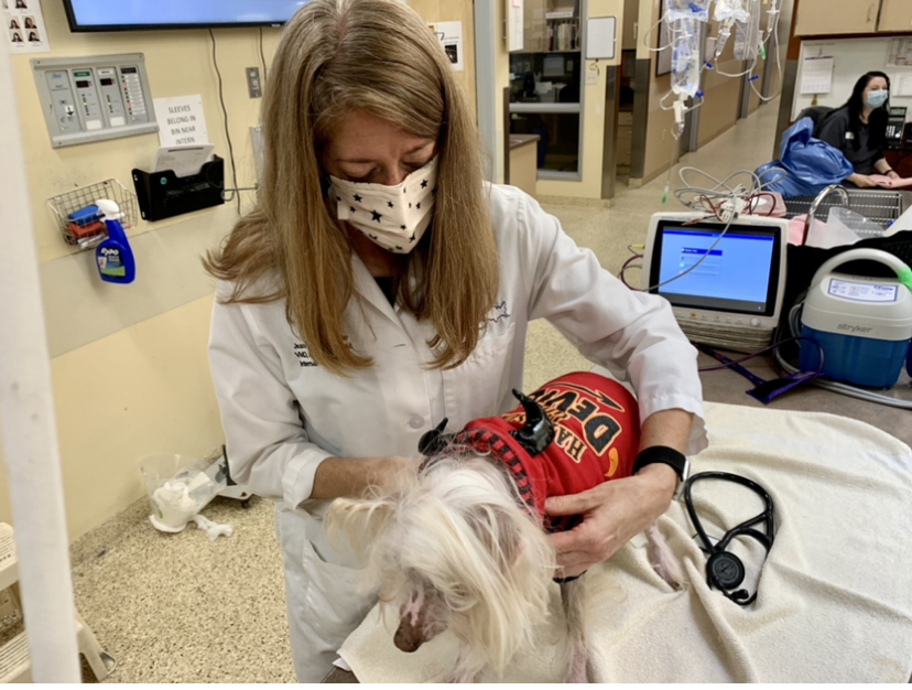 AllyDBoston's tweet image. "It was really difficult to leave my job, but I couldn't be treated like an abused woman every day of my life anymore:" Staff in #veterinary care say the surge of pandemic #pets has pushed industry into crisis.  thehinghamcast.com/my-god-we-are-… @MspcaAngell #veterinarians #mentalhealth