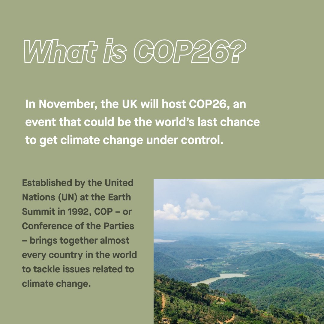 Green Wallet - Eco Shopping App tweet media