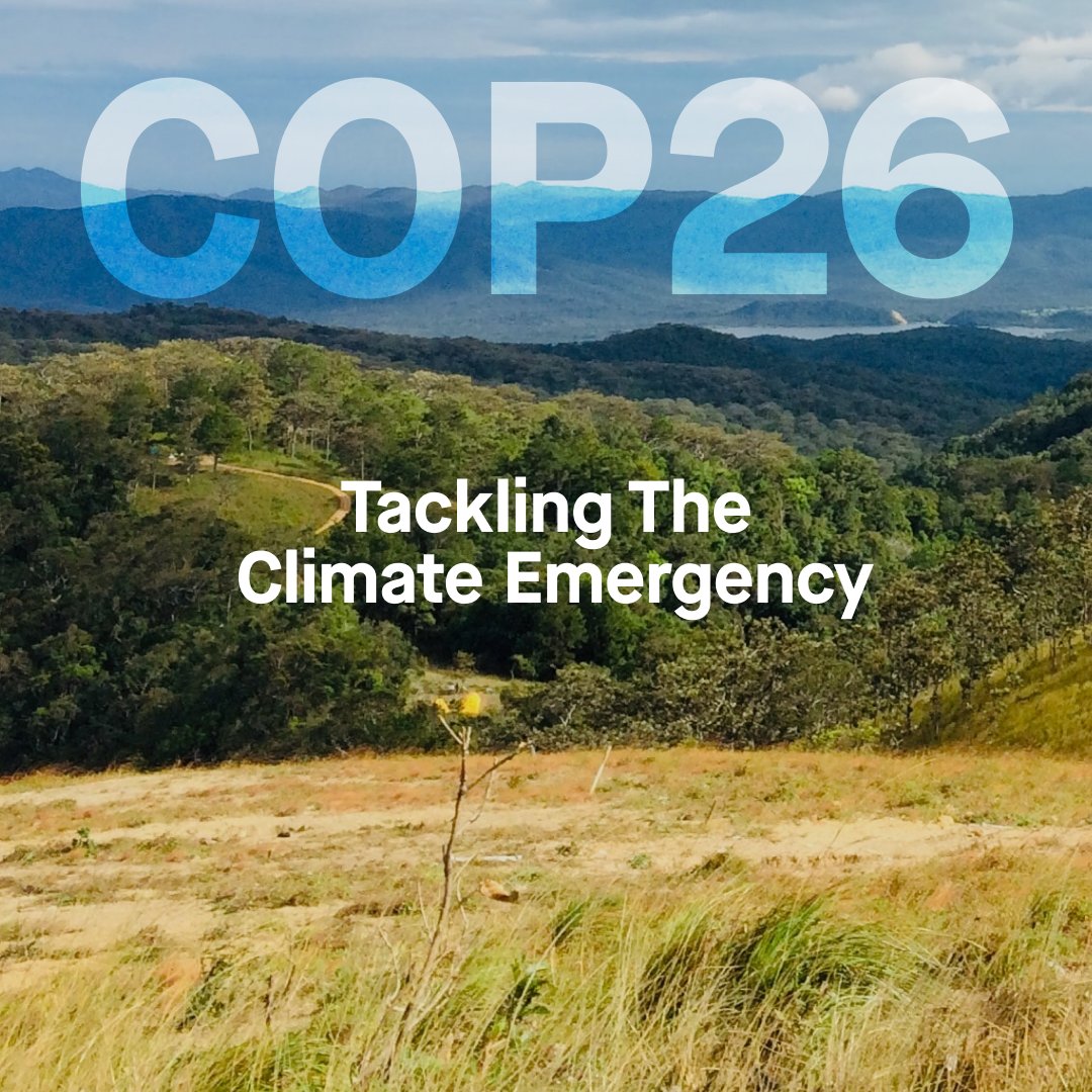 Green Wallet - Eco Shopping App tweet media