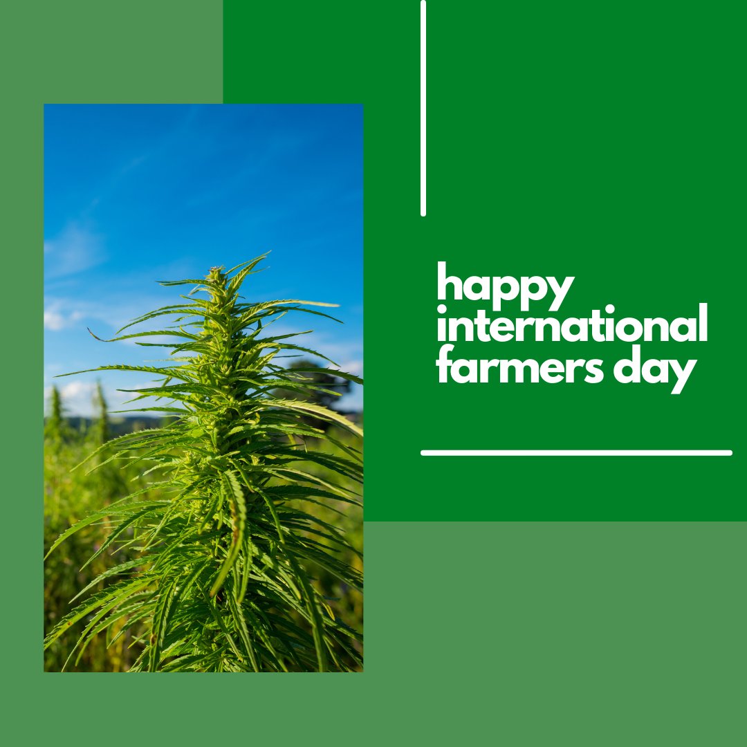 CBDGuidePodcast's tweet photo. A happy farmers' day today to all who are a part of this community! We greatly appreciate all that you do! To celebrate today, check out episodes 11 and 15. 

https://t.co/zHBLV2tMhI

#internationalfarmersday #cbd #hemp #podcast #episode #farming #sustainablefarming #hempscience https://t.co/sBVk9irMld