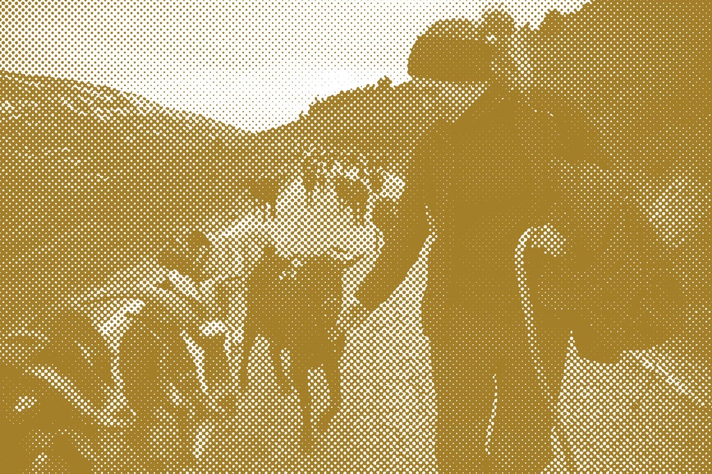 e-flux Education tweet media