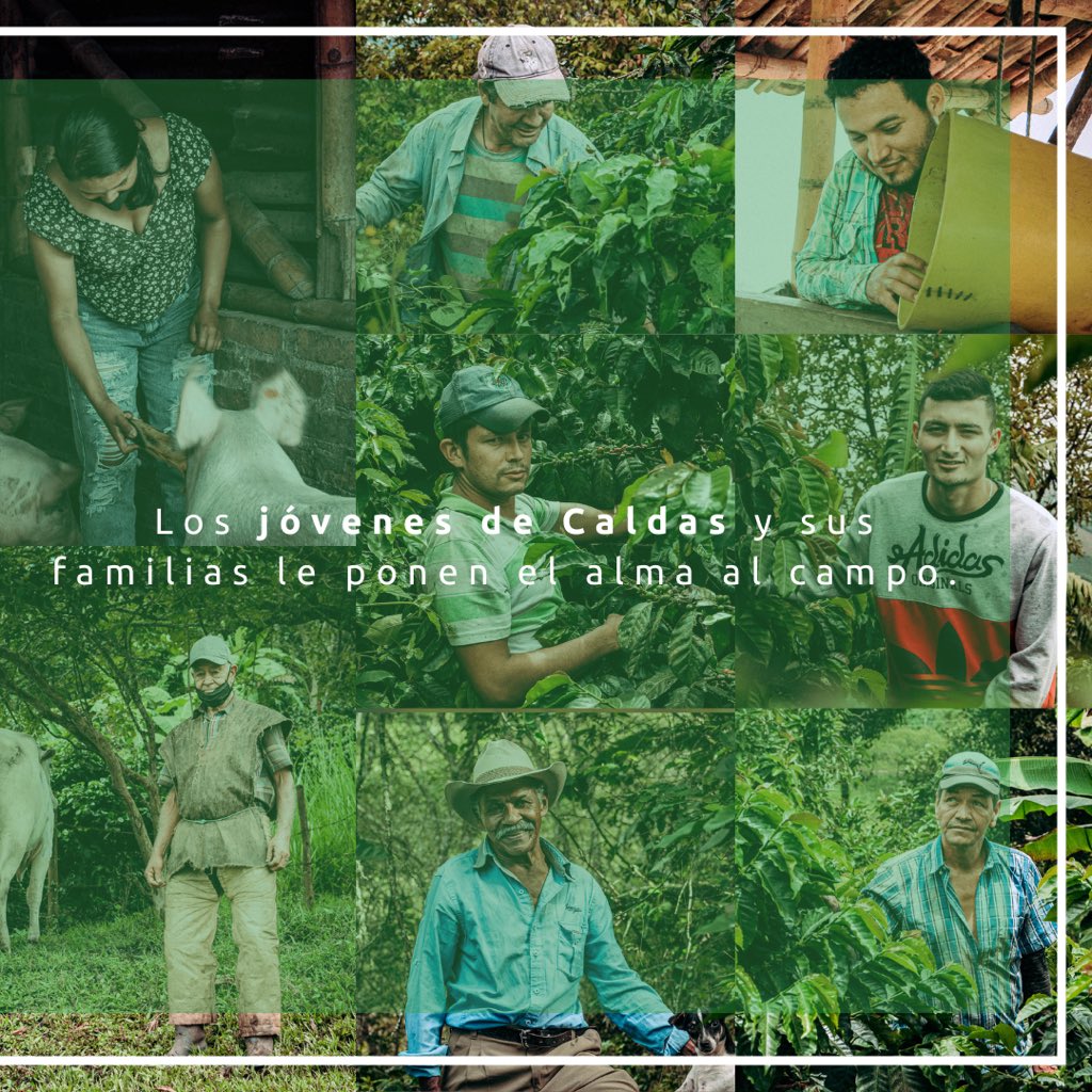 💚 A nuestros jóvenes les gusta salir adelante, les encanta ver del campo una manera linda de vivir y, sobre todo, le ponen pasión a cada uno de sus procesos. 💫
• MER, proyecto de la Alianza Público Privada de Educación para la Competitividad, operado por la CDC. 📚