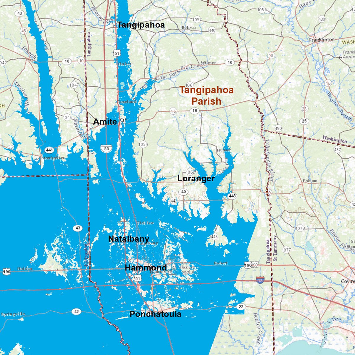 LSU's tweet image. After the 2016 floods devastated parishes across Louisiana, LSU faculty and students began collaborating with local government and communities to set Tangipahoa Parish on a path toward resilience.
More info: lsu.edu/research/news/… #LSUworks