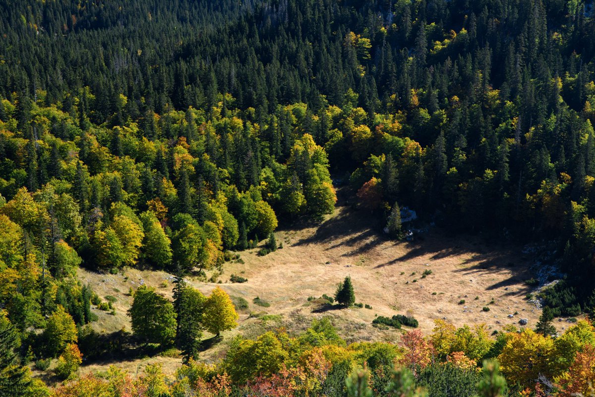 IUCN_ECARO's tweet photo. We are delighted to welcome three new #BonnChallenge pledges from Uzbekistan, Montenegro and North Macedonia announced today at the Ministerial Meeting organised by @UNECE @FAO! #GenerationRestoration 
Read more here🌱 https://t.co/IEZhA01Nbw
@IUCN @IUCN_forests https://t.co/byXx4kMbKy