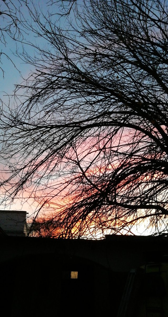 Judith12val's tweet photo. My favorite and safe place on earth is when the sky is painted with pinks, purples, blues, oranges and more colors. Sunsets are wonderful in my eyes. 
And of course, my cat, my soulmate and my lovely partner in this life.  

#HappyJiminDay #JIMINDAY @bts_bighit @BTS_twt https://t.co/Wlcg0DQRuY