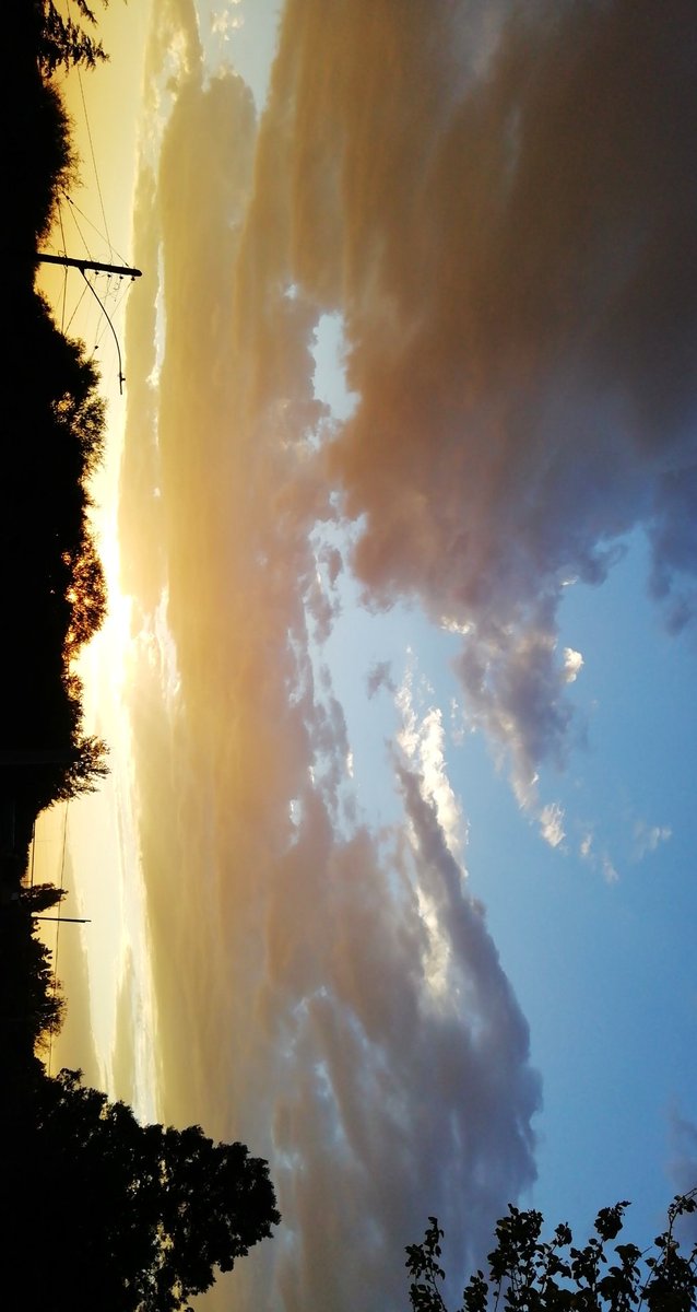 Judith12val's tweet photo. My favorite and safe place on earth is when the sky is painted with pinks, purples, blues, oranges and more colors. Sunsets are wonderful in my eyes. 
And of course, my cat, my soulmate and my lovely partner in this life.  

#HappyJiminDay #JIMINDAY @bts_bighit @BTS_twt https://t.co/Wlcg0DQRuY
