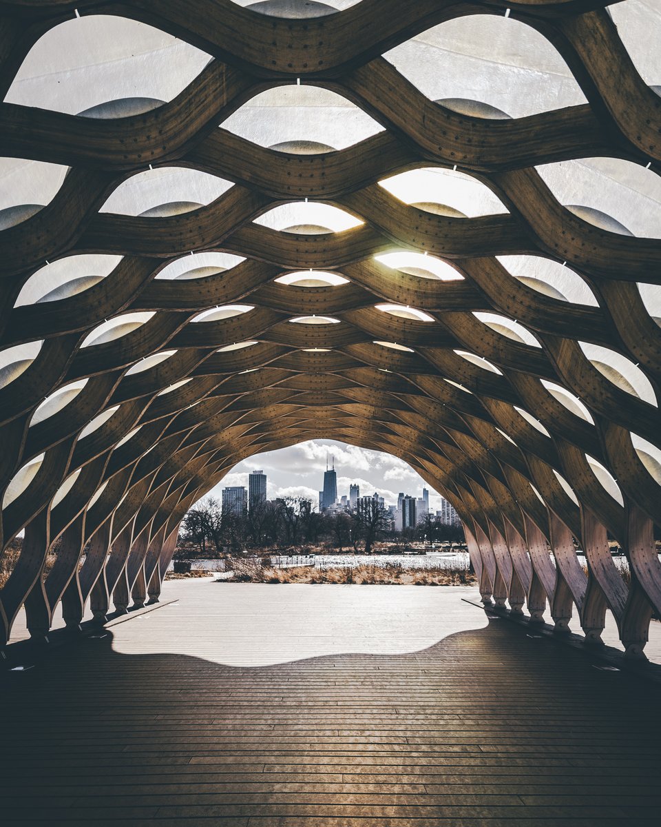 TropeReader's tweet image. A favorite from the Chicago Print Collection. Shop 'Nature Boardwalk at Lincoln Park Zoo' and other prints of the Windy City at trope.com 📸 André Bayard