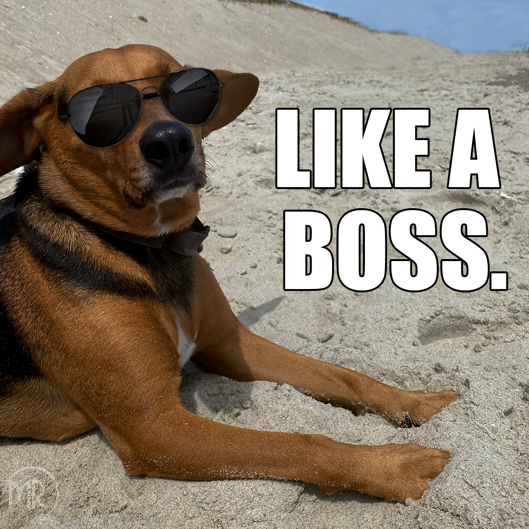 katherinemiracl's tweet photo. Boss's Day is coming up, give the gift of success with Escape, the Miracle Resources training that creates a culture of success!  #MiracleResources #BrandTeamRevenueTraining #MeetingPlanner #ConventionPlanner #KeynoteSpeaker #CommunicationConcierge #BeInquisitive #HumanResources https://t.co/SAYPTfMZ08