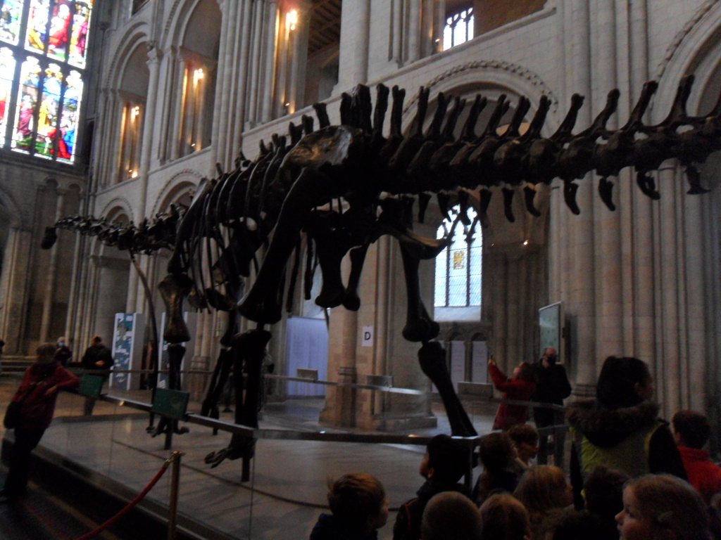 NectonY2's tweet photo. We loved seeing Dippy the dinosaur today! We were told lots of facts about him. Maybe we could share these with our adults at home! #Nectonloveslearning https://t.co/0MVzjbgEYX