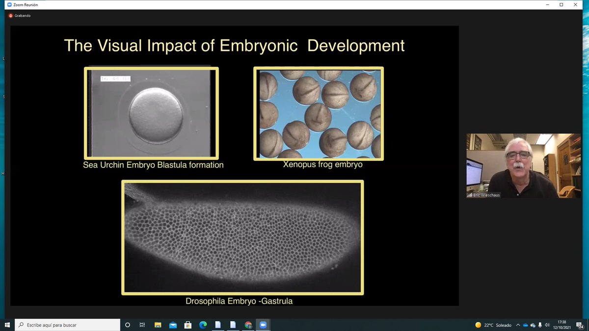 It is with enormous pleasure we are now listening to Eric Wischaus at #DrosAfricaWorkshop2021 . Eric is a fantastic #Drosophilist and his contributions to all the fly and #devbio community are numerous and extremely important. A giant we all have the honour to hear! Thank you!