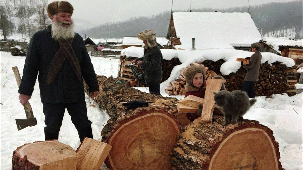 Дед рубит. Дрова. Дед с дровами. Рубка дров. Рубить дрова.