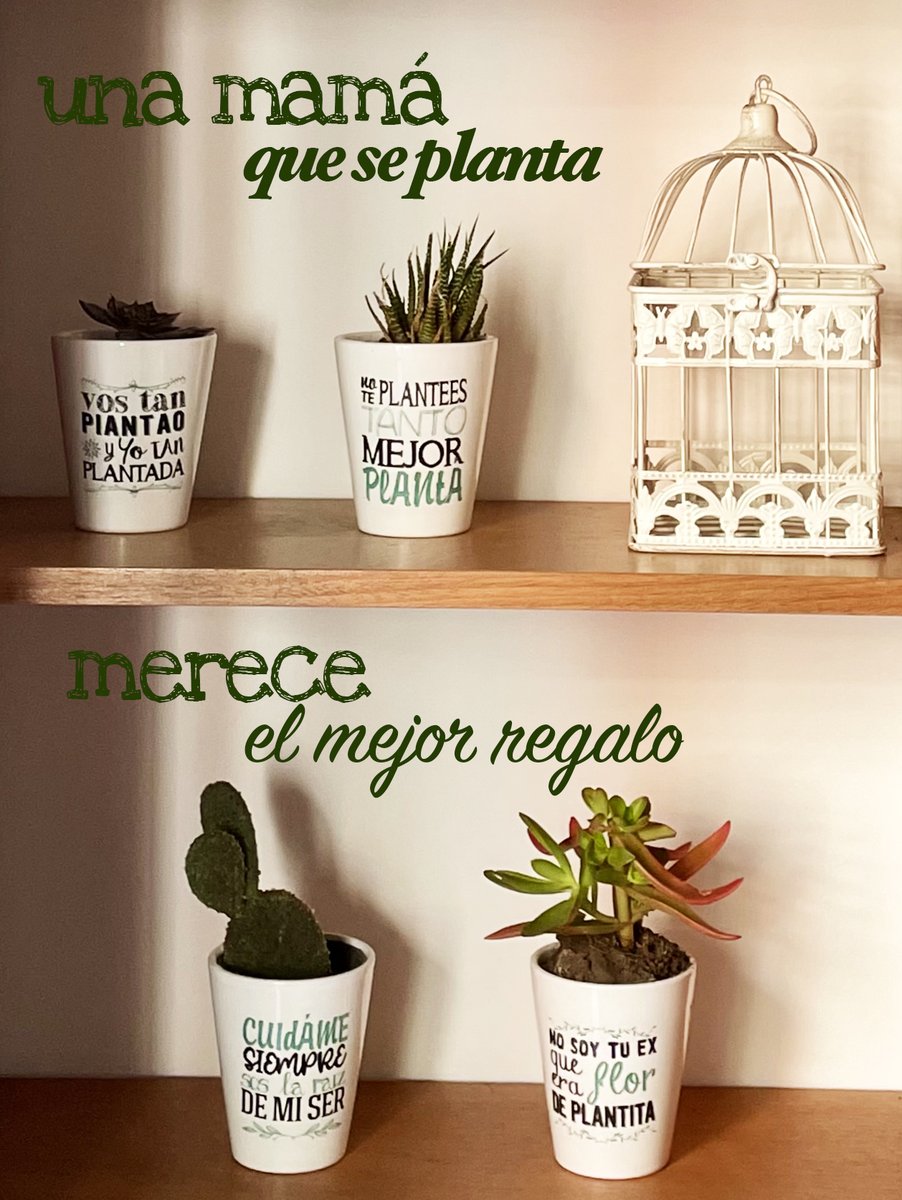 fabitofuentes's tweet photo. #FelizDiaDeLaMadre #Mamita #Mami #Viejita #Vieja #Mamu #vigilante #perobien #regalalealgodistinto #maceta #plantas #suculentas #cactus #regalo #confrases #tevaamarmas #dale #algodiferente #confrases #signos #zodiaco #haydetodo #nobusquesmas #llorenmadreslloren #alalindamacetita https://t.co/HpHhyZt7p0
